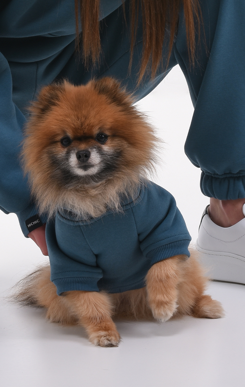 [CHIC152] MODRÁ MIKINA PRO PSA  Doggie