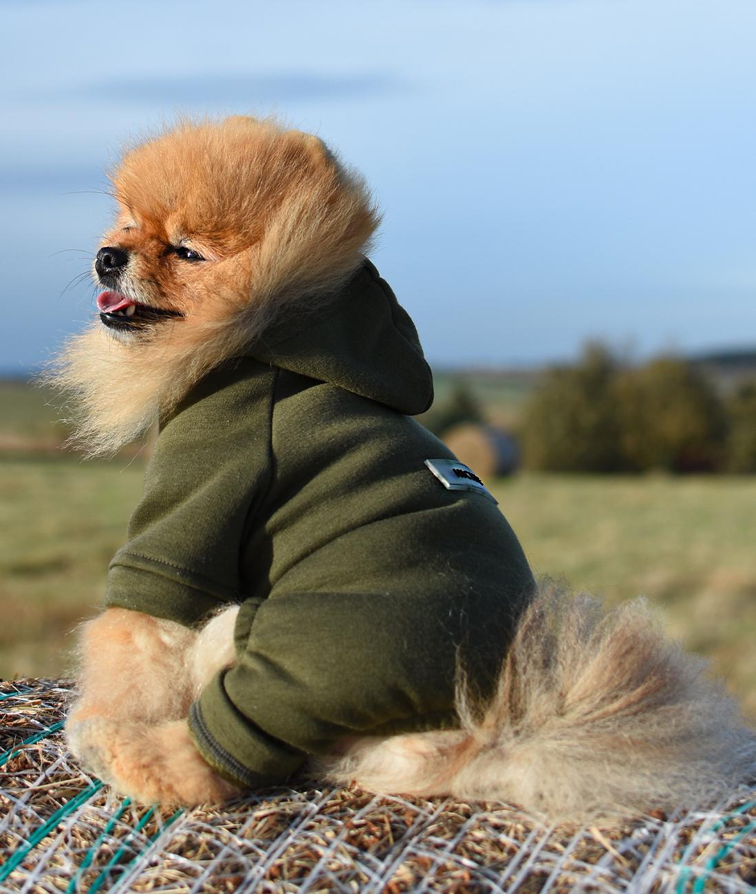 [CHIC350] ZATEPLENÝ OBLEČEK PRO PSA KHAKI  Hoodie DOGverall